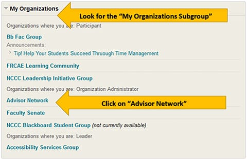 Instructions for Accessing Blackboard Group