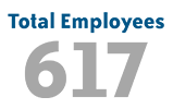 Total Employees - 617